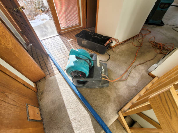 Best 24-hour water damage restoration  in Keaau, HI