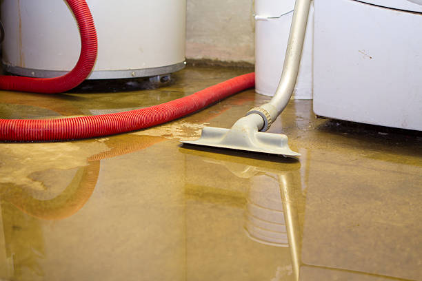 Best Flood damage cleanup  in Keaau, HI